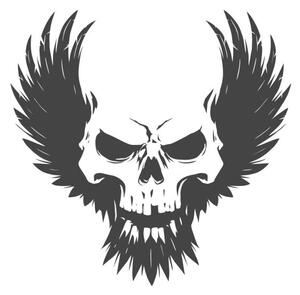 Ilustrație Black skull illustration with wings, d1sk