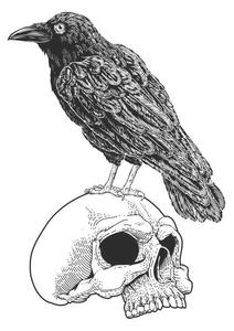 Ilustrație Crow Raven Corvus Bird and Skull Vintage Woodcut, ChrisGorgio