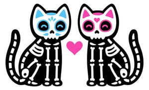 Ilustrație Black skeleton cats couple with Mexican, Sudowoodo