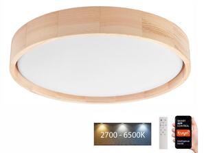 Plafonieră LED Brilagi MANAROLA SMART LED/24W/230V Tuya + telecomandă