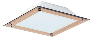 Rabalux 3045 - Plafonieră LED LARS 1xLED/12W/230V