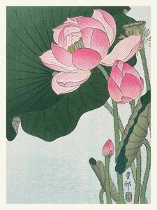 Artă imprimată Blooming Lotus (Japandi Vintage) - Ohara Koson, (30 x 40 cm)