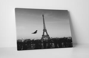 Tablou canvas : Turnul Eiffel in alb-negru