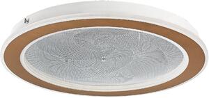 Rabalux Efrael plafon 1x24 W alb 71281