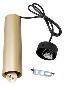 Lustră pe cablu Brilagi SELE 1xGU10/30W/230V negru/auriu