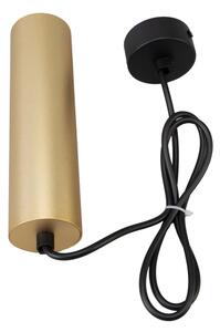 Lustră pe cablu Brilagi SELE 1xGU10/30W/230V negru/auriu
