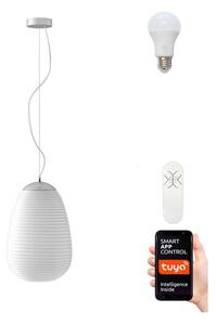 Immax NEO 07066L - Candelabru LED RGBW reglabil COCONO 1xE27/8,5W/24 cm