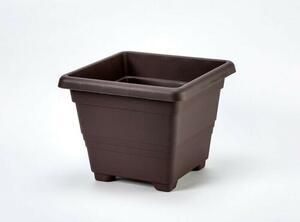 Plastia Ghiveci de flori Begonia 60 x 60,ciocolată