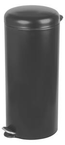 Alda Pubelă cu pedale Doman Soft Close FreedomFresh 30 l, negru