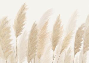 Tapet foto XXL Pampas 360 x 254 cm, 4 părți