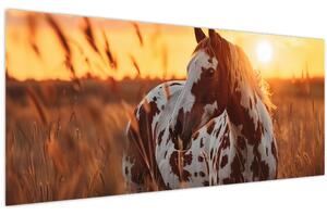 Tablou - Cal la Apus (120x50 cm)