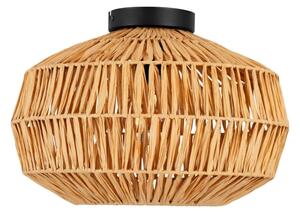 Eglo 44142 - Plafonieră SHELDON 1xE27/40W/230V, maro