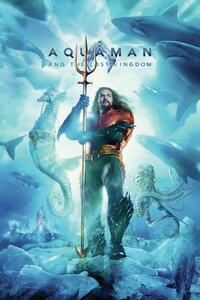 Poster de artă Aquaman and the Lost Kingdom - King