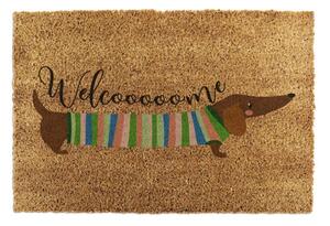 Covoraș de intrare din fibre de nucă de cocos 40x60 cm Welcome Sausage Dog – Artsy Doormats