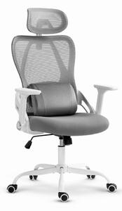 CABRO C507 scaun ergonomic cu suport lombar și pentru cap reglabil, gri