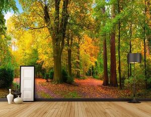 Fototapet Calea cu copaci și frunze pe ea, Fototapet pădure, Fototapet populare, u08547 - Tapeko.ro