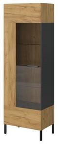 Vitrina SANTES, stejar auriu/gri antracit, PAL, 64,4x42,1x197,5 cm