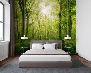 Fototapet Poteca printr-o pădure cu copaci și plante, Fototapet pădure, Fototapet populare, u22252 - Tapeko.ro