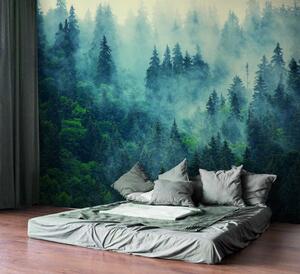 Fototapet Pădure cețoasă cu copaci, Fototapet designer, Fototapet populare, u33150 - Tapeko.ro