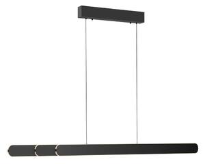 Schöner Wohnen 12577-18 - Lustră LED dimabilă pe cablu ADRIANA, 2xLED/24W/230V, negru