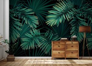 Fototapet Frunze tropicale pe un fundal întunecat, Fototapet 3D, Fototapet populare, u43269 - Tapeko.ro