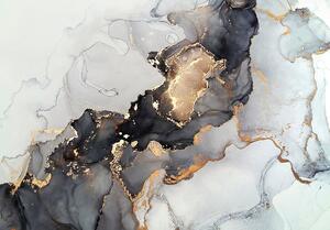 Tablou pe pânză Black&Gold Abstraction