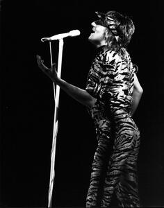 Fotografie Dec. 19, 1980 - Rod Stewart on stage in London