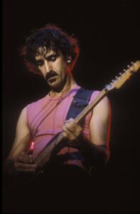 Fotografie Portrait of rock musician Frank Zappa, 1982