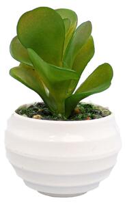 Planta Suculenta Artificiala, Verde, Plastic, 10Cm - Verde, Plastic, 10cm