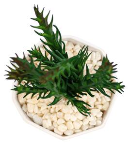 Planta Suculenta In Ghiveci, Mov, Plastic, 18Cm - Mov, Plastic, 18cm