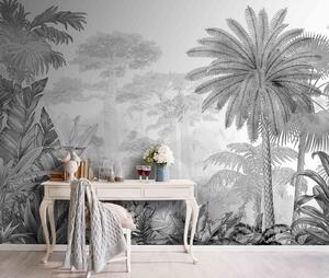 Fototapet Imagine alb-negru a unei păduri, Fototapet jungle, Fototapet populare, u59041 - Tapeko.ro