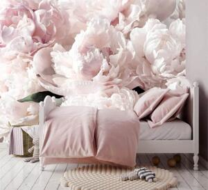 Tapet Bujori roz pal, Fototapet Flori, u59600 : Uwalls.ro
