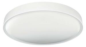 Plafonieră LED dimabilă SAMER LED/40W/230V 2900-6000K + telecomandă