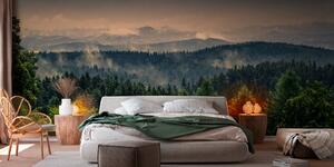 Fototapet Pădure cu ceață și nori, Fototapet designer, Fototapet populare, u72174 - Tapeko.ro