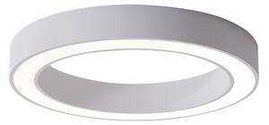 Azzardo AZ5031 - Plafonieră LED dimabilă MARCO LED/50W/230V alb + + telecomandă