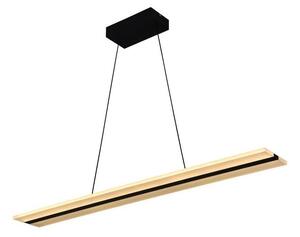 Lustră LED dimabilă pe cablu LED/40W/230V 3000-6500K negru + telecomandă