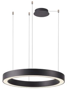 Azzardo AZ5047 - Lustră LED dimabilă pe cablu MARCO LED/60W/230V negru + + telecomandă