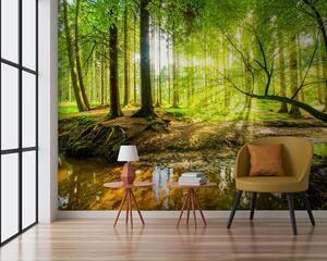Tapet Transparența fluxului forestier, Fototapet Natură, u93621 : Uwalls.ro