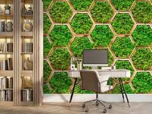 Fototapet Perete de plante în hexagoane, Fototapet 3D, Fototapet populare, u95502 - Tapeko.ro