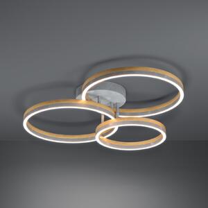 Stars of Light Plafonieră LED Cadinaro gri/lemn 73 cm, dimabilă, reglabil, Gri, Camera de zi / sufragerie, Sticlă, Modern, Plafon cu flacără multiplă