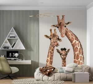 Fototapet Un grup de girafe cu capetele împreunate, Fototapet copii, Fototapet populare, u98525 - Tapeko.ro
