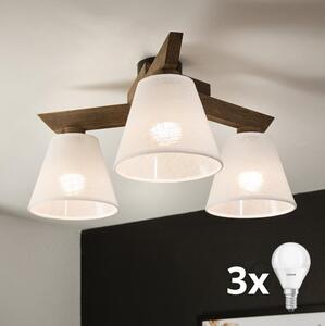 Lustră LED aplicată Brilagi ANTHONY 3xE14/40W/230V stejar nuc/alb
