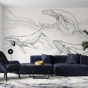 Tapet Balene în ocean, animale de mare, line art, minimalism, culori alb-negru, Fototapet Designer, u99733v4 : Uwalls.ro