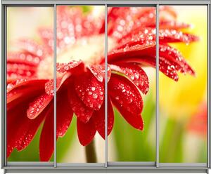 Dulap Print 176 / L330 x H220 x A45