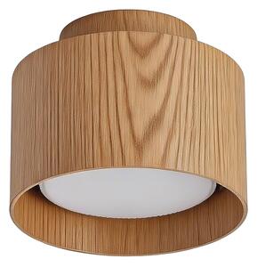 BRILAGI - Spot LED BACKLIT 1xGX53/15W/230V+LED/3W, diam. 10 cm, finisaj stejar