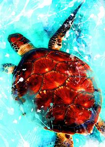 Ilustrație Tortoise animal art, Justyna Jaszke