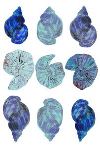 Ilustrație Blue Sea Shells, Poster cartissi