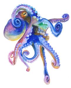 Ilustrație Blue Marine Octopuss, Isabelle Brent