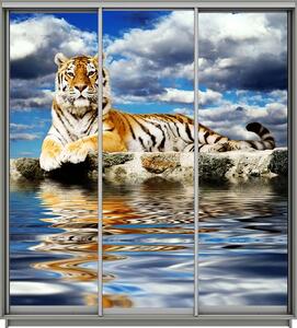 Dulap Print 3 Usi 279, L190 x H220 x A60