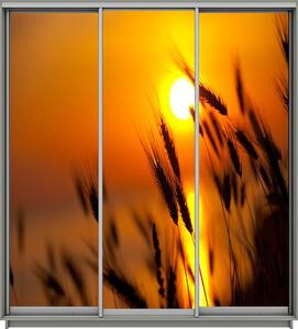 Dulap Print 3 Usi 2472, L190 x H220 x A60